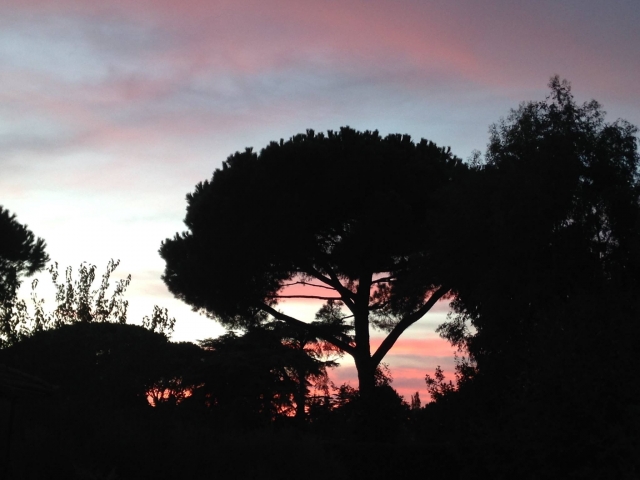 Disfruta de una puesta de sol con nosotros 
