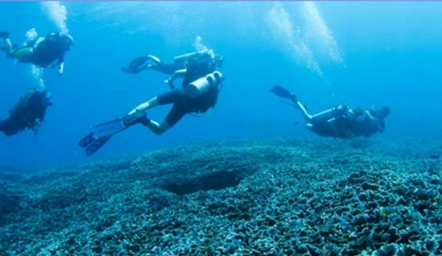  Buceo 