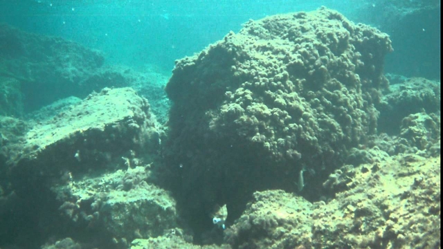  Un fondo marino único 