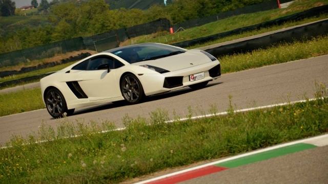  entre los bordillos y la hierba 