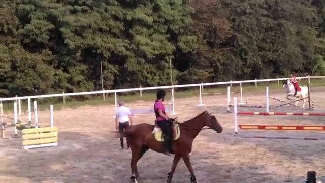  venga y toma clases de equitación con nosotros! 