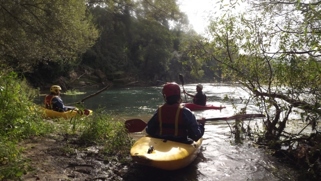  Kayaks en el río 