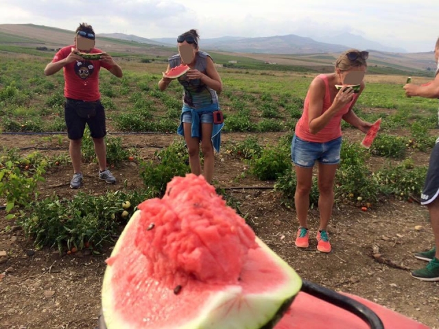  Degustación de productos 