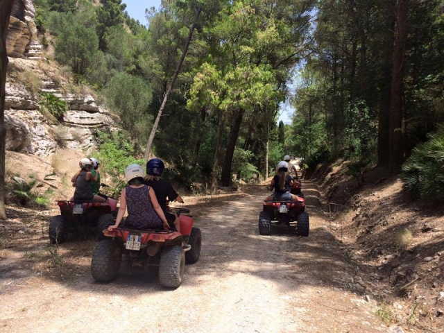  Un grupo en una excursión 