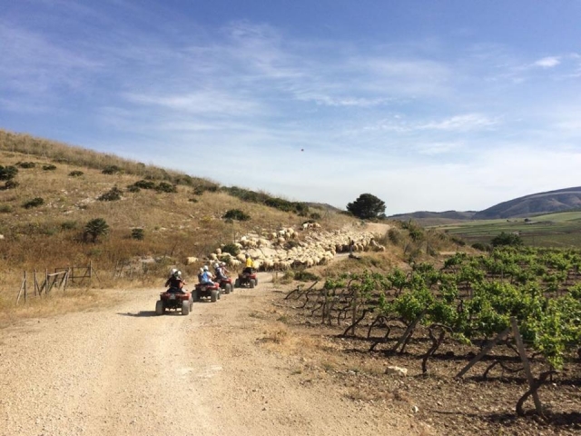  Los obstáculos del camino 
