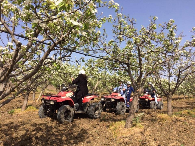  Pasando a través de los campos 