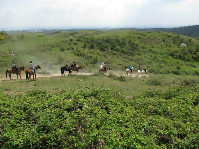  Inmerso en el parque 