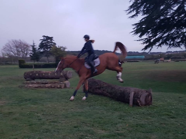  Saltos en los establos 