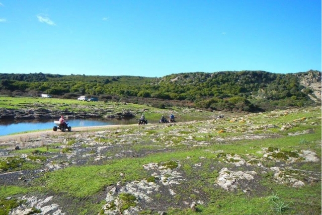 Entrando en el matorral 