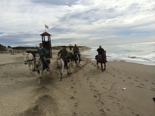  Excursión en la playa 