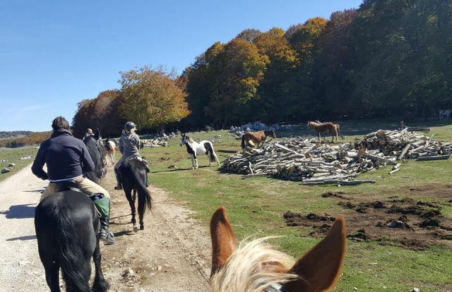  A lo largo de los paisajes 