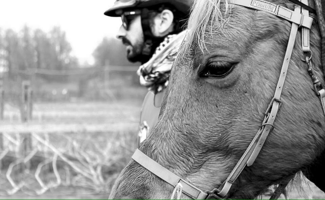  el caballo se convertirá en su compañero de aventuras 