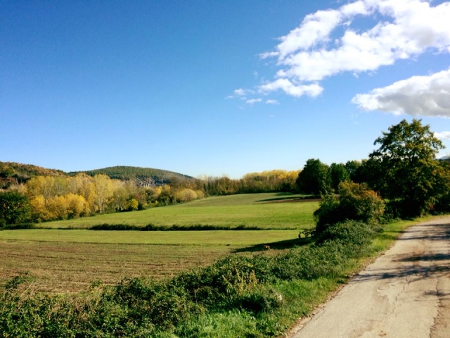  la naturaleza aquí es hermosa 