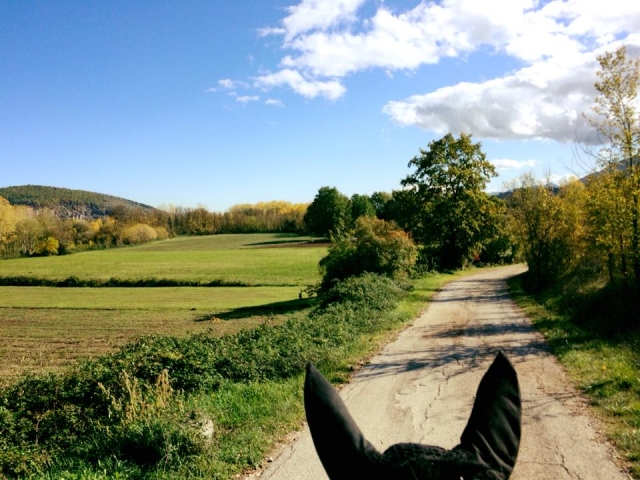  venga a caminar con nosotros