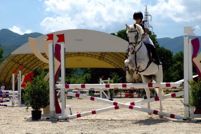  Nuestros pequeños alumnos 
