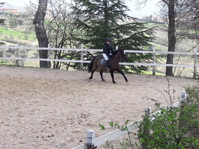  En el club de caballos 