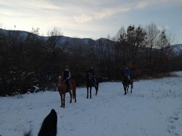  Sobre la nieve en la silla de subir 