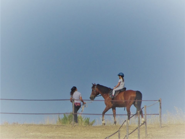  Lecciones en la silla 