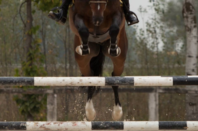  Un solo salto en el sillín 