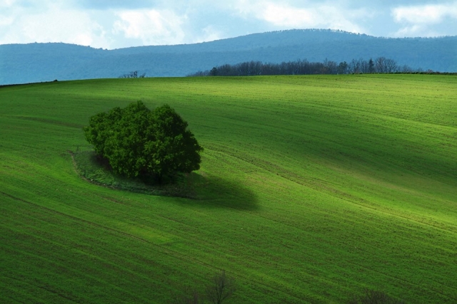  Maravillosos prados vistos desde el cielo 