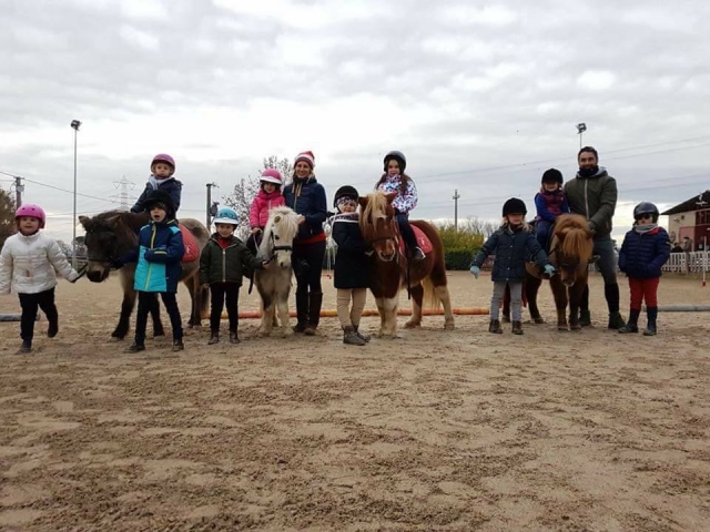  equipo Pony