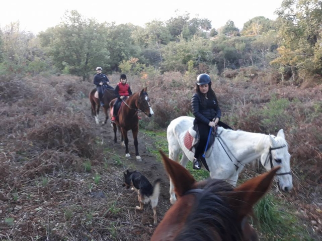 Excursiones en la silla de subir 