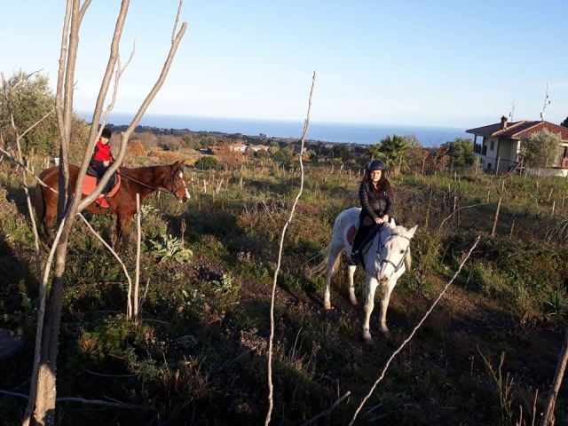  Mar y verde 