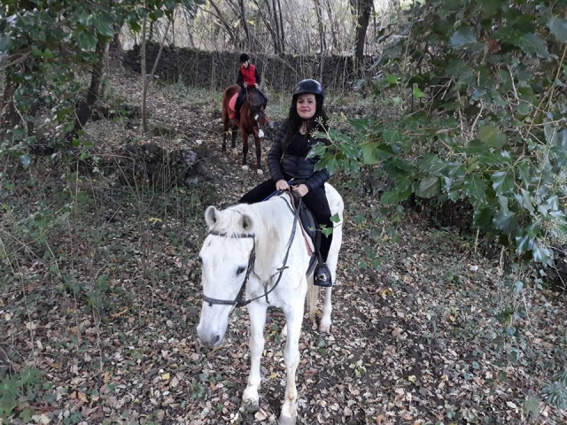  Subir a caballo 