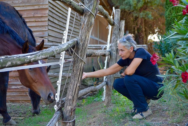  Un animal espléndido 