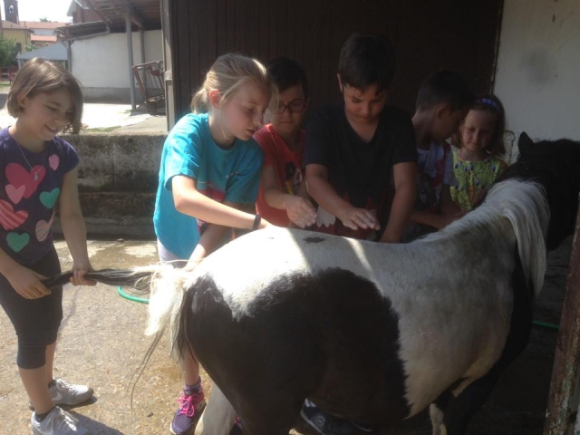  Un pony maravilloso 