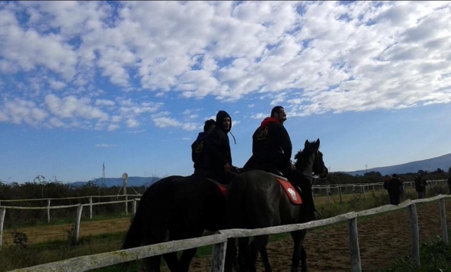  caballos y cielo azul 