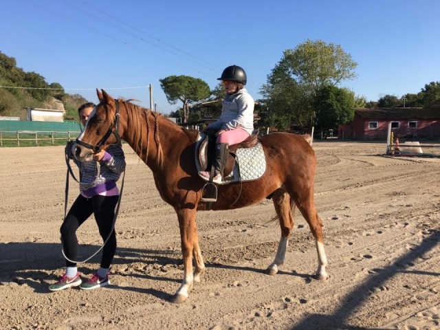  clases de equitación 