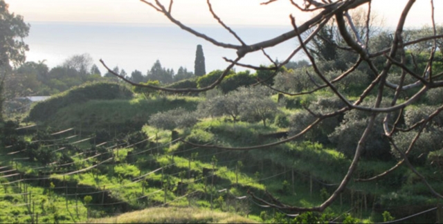 La Casa di Pippinitto