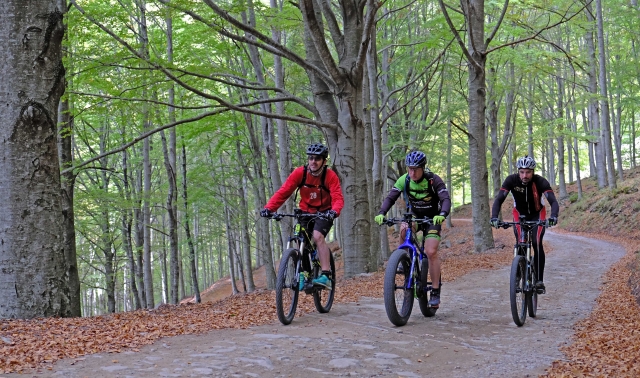  Día especial al aire libre 