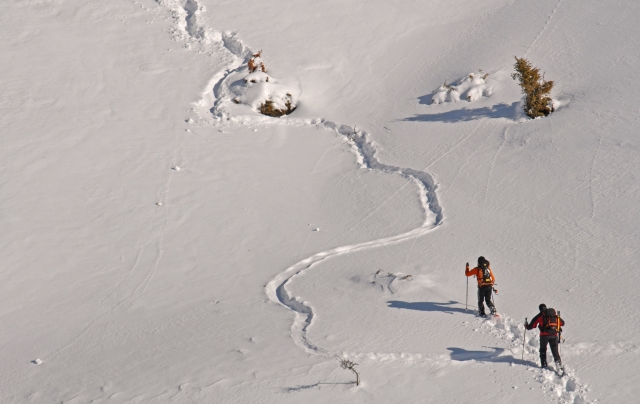  Con raquetas de nieve vive la aventura más hermosa sobre nieve fresca 
