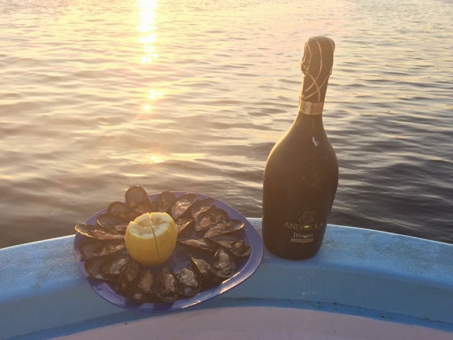  Qué maravilla de aperitivos 