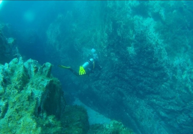  Entre el fondo marino