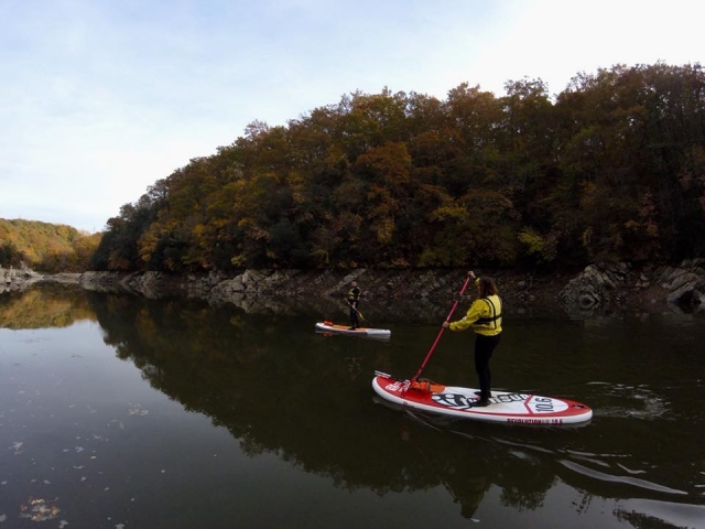  ¡Aquí está el SUP 