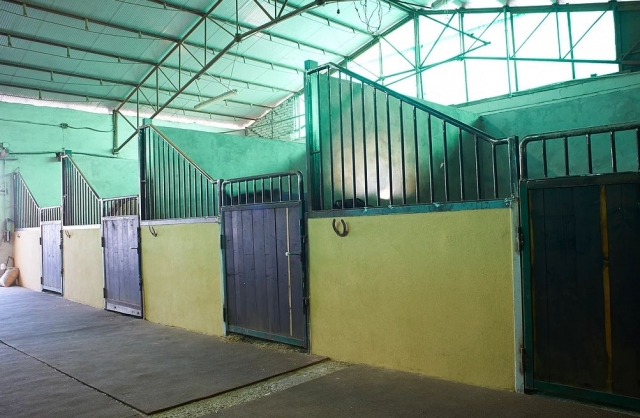  Aquí están las cajas 