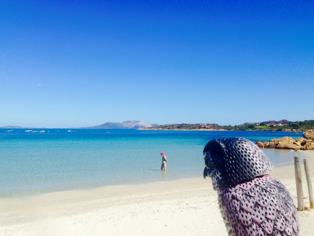  Aquí está nuestra playa 