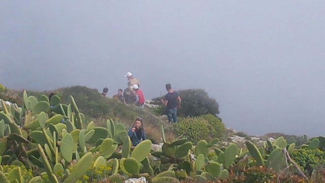  La vegetación de Puglia 