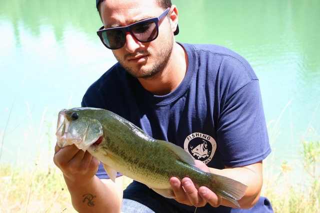  Aquí está atrapado