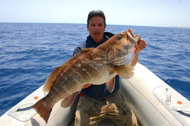  Aquí hay uno grande 