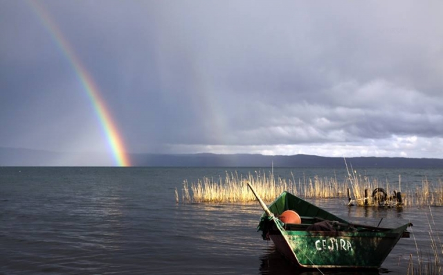  Pesca con estas vistas 