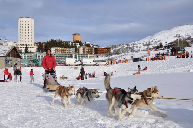  Trineos tirados por perros 