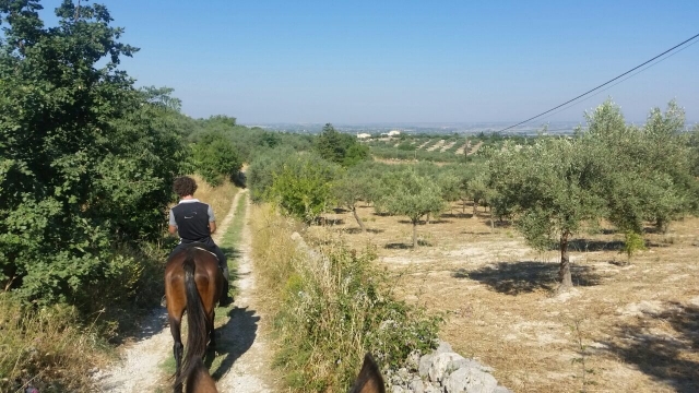  Los caminos que no conocías 