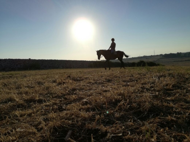Hermoso día para caminar 