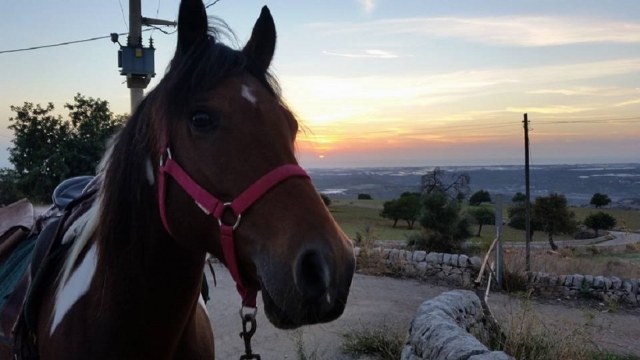  Los días que nunca olvidas 