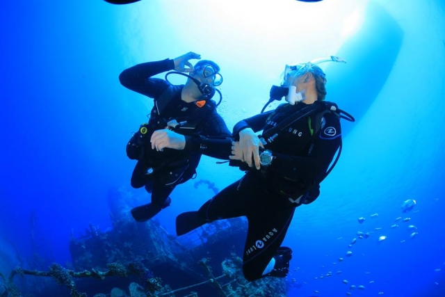  The Dives 