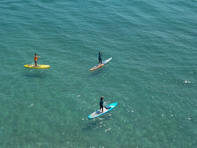  Paddle board en compañía